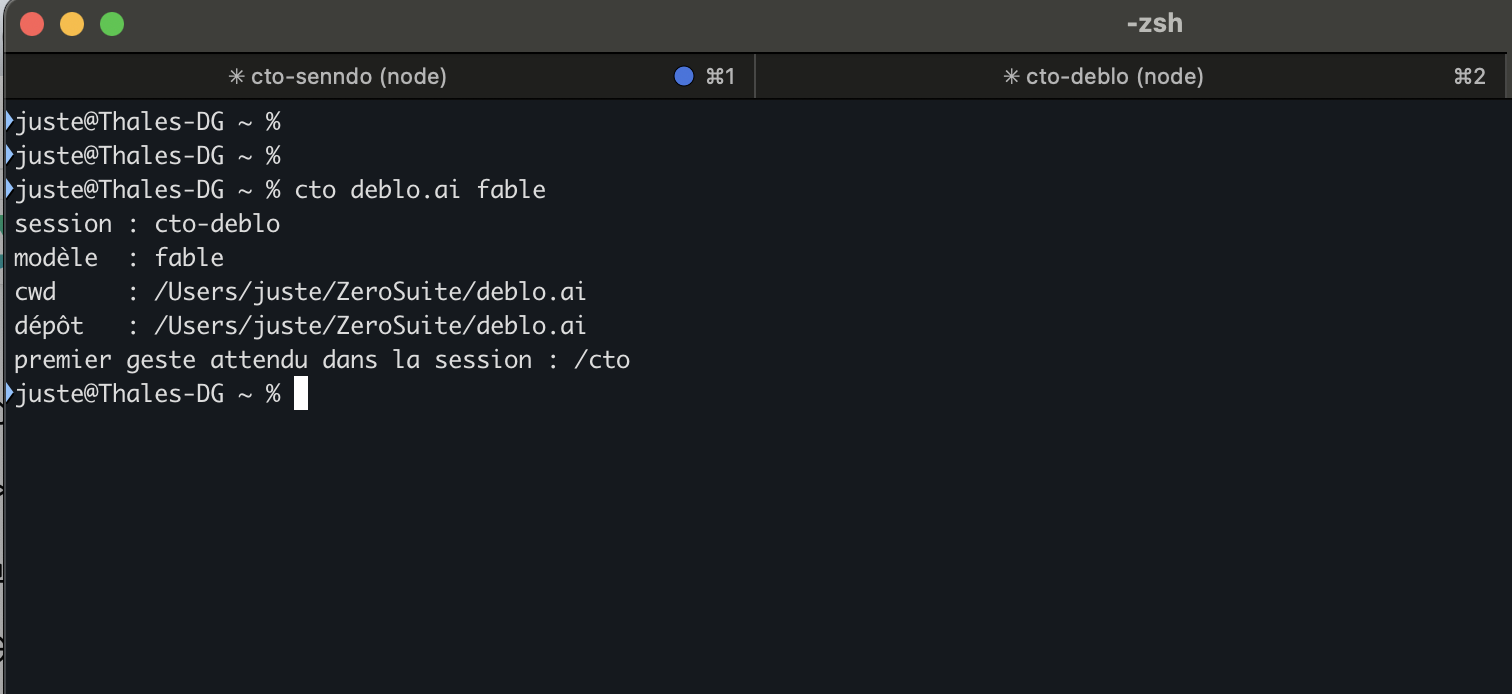 The cto launcher opening a named session: session name, model, working directory, repository, and the expected first gesture, with another named session visible in the terminal tabs